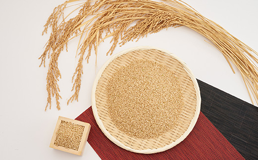 新米【令和7年産】たこまいらいふ萩原農場の多古米コシヒカリ(玄米)20kg【配送不可地域：離島・沖縄県】