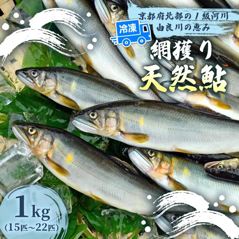 天然鮎 網獲り 冷凍 約1kg（約15匹～22匹）あゆ 鮎