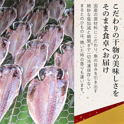 ふるさと納税 小田原市 あじのひもの詰め合わせ(SA-10) |  | 01