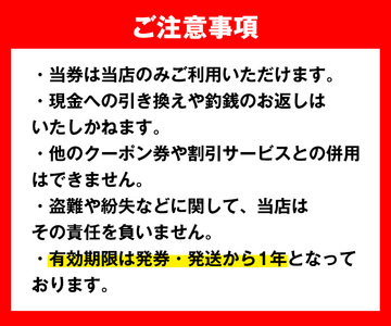 十三奉行(じゅさぶろ)温泉 入浴券 25回分 入浴チケット 【アーステクノ】 i1218-B