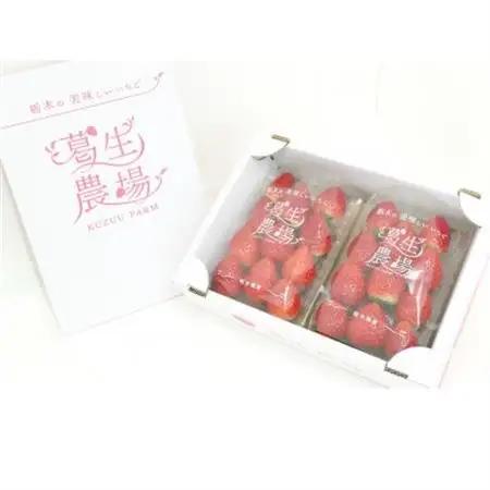 【発送月固定定期便】【2・3・4・7月】栃木のいちご2パックと夏のジェラート定期便!全4回【配送不可地域：離島・沖縄県】【4074074】
