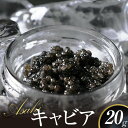 【ふるさと納税】キャビア ASAHIキャビア 20g 国産キャビア チョウザメ 魚卵 高級グルメ 魚介 食材 贈り物 贈答品 お祝い 記念日 冷凍 食品 加工品 世界三大珍味 珍味 お取り寄せ お取り寄せグルメ おつまみ 宮崎県 延岡市 送料無料