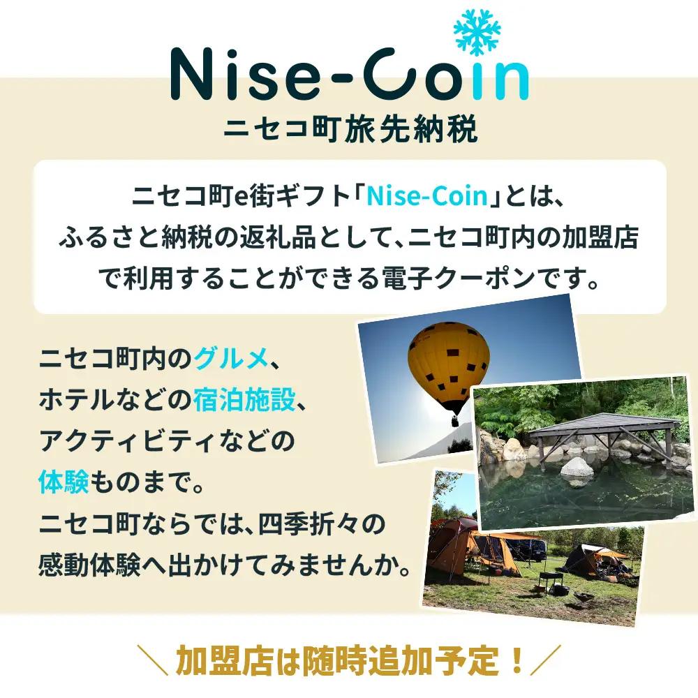 ニセコ町e街ギフト Nise-Coin 3,000円分【98001】