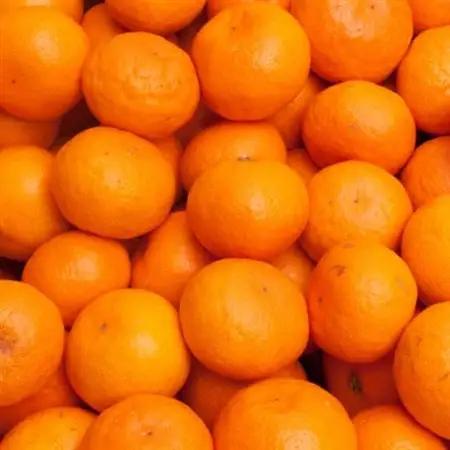 プレミアム 有田みかん1kg+250g(傷み補償分)【光センサー選果】【配送不可地域：離島・北海道・沖縄県】【1625359】