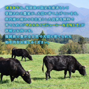 博多和牛 モモブロック 1kg モモ IMD