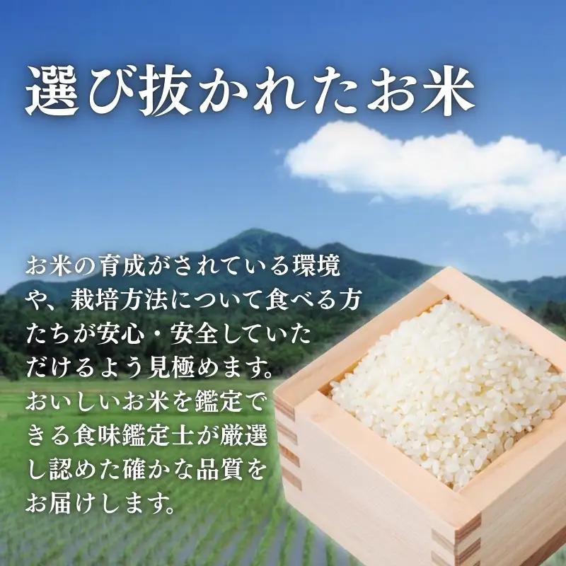 【3か月定期便】こしひかり 精米 上越産 こしひかり 3kg