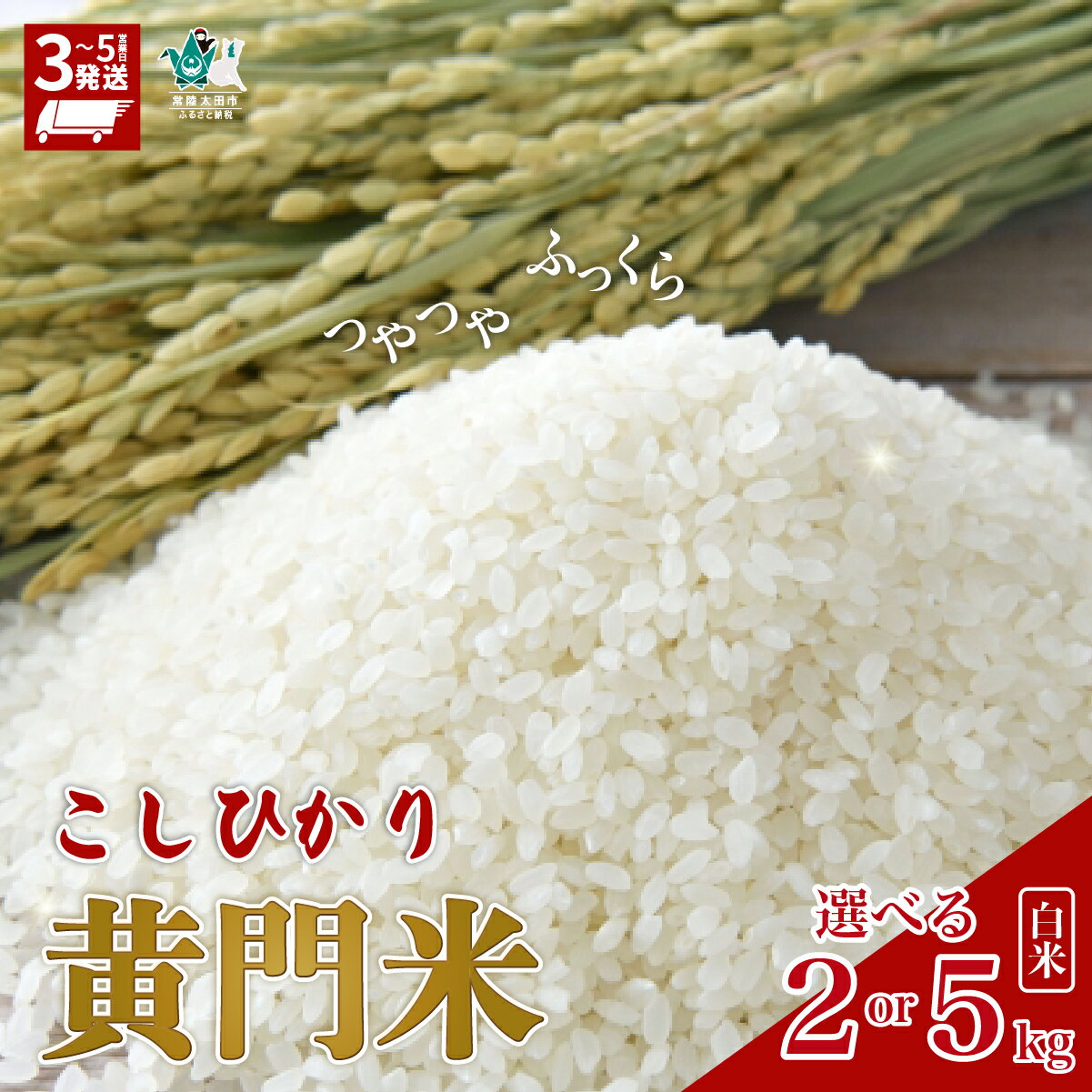 【ふるさと納税】コシヒカリ 最短3日発送 黄門米 2kg 5kg 精米 家計応援 | リピート 人気 高評価 お米 白米 こしひかり 5kg 主食 子ども 育ち盛り ブランド米 ツヤツヤ もっちり ふっくら 甘み 柔らかい 美味しい ご飯 おむすび お取り寄せ 茨城県 常陸太田市 タツミ米穀
