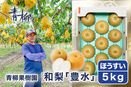 【2026年先行予約】青柳果樹園の和梨 豊水 5kg(10～14玉)《9月上旬～順次出荷》 果物 ほうすい 加茂市 青柳果樹園