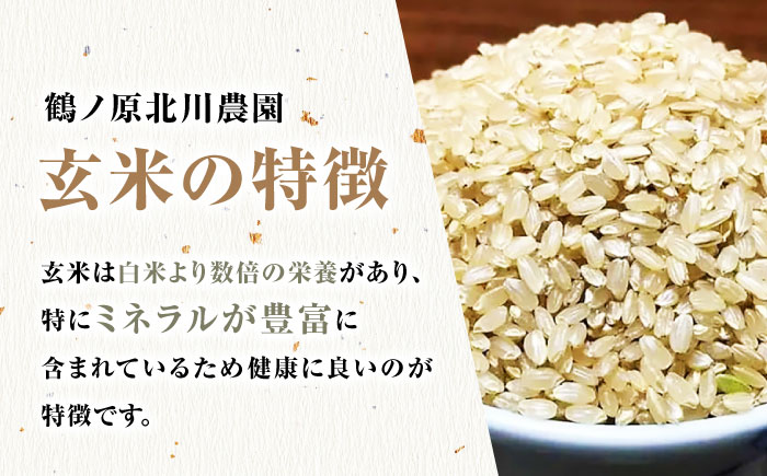 栽培期間中農薬不使用 令和6年産 佐賀県産ゆうだい21 玄米5kg/鶴ノ原北川農園 [UDL024]