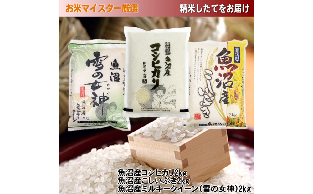 【令和7年産】魚沼産米こだわりの3品種食べ比べセット 6kg(2kg×3)新潟県 新潟 米 魚沼 魚沼産 コシヒカリ こしひかり こしいぶき ミルキークイーン6キロ
