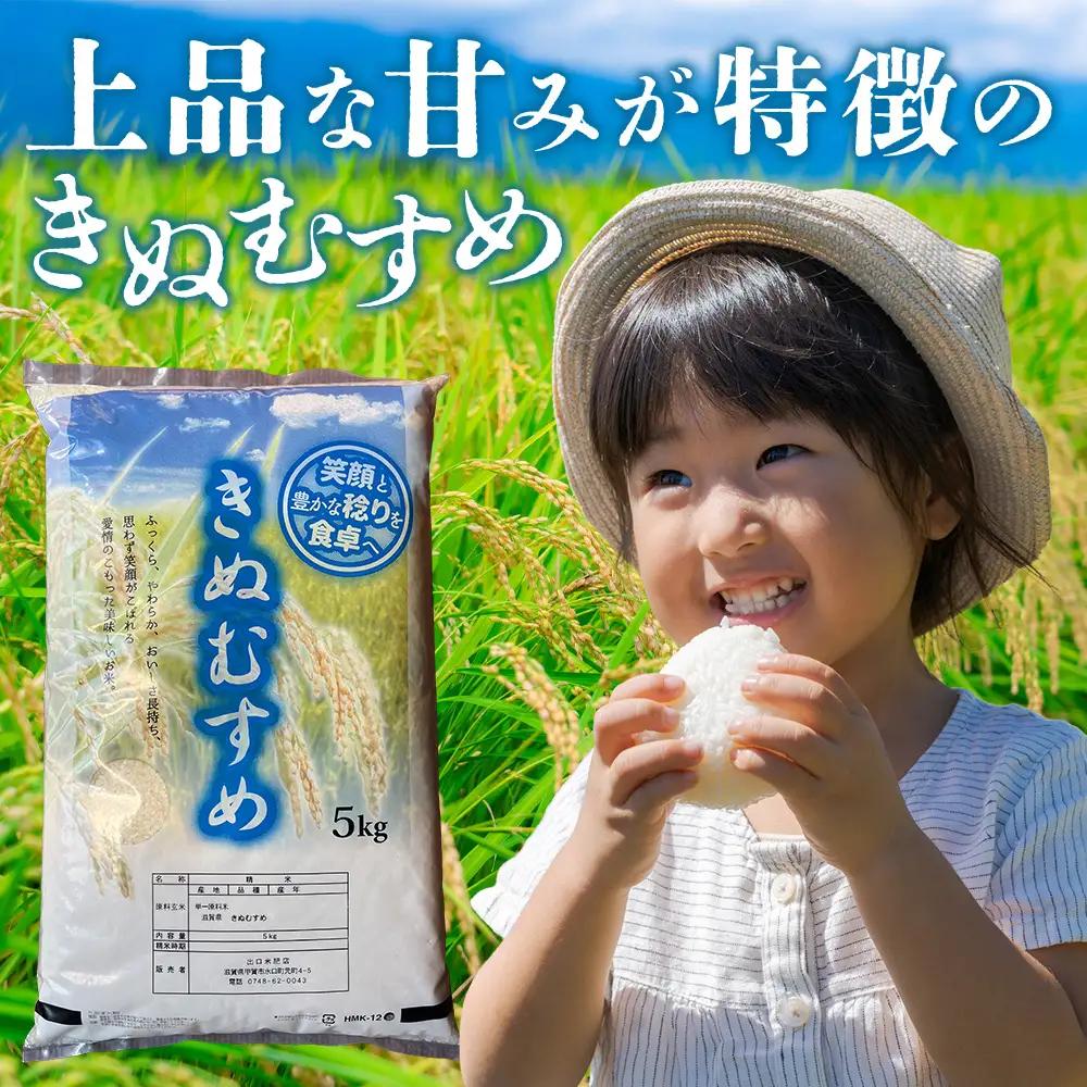【令和8年産 新米 先行予約】【定期便】近江米きぬむすめ 5kgx3回定期便（精米）※2026年9月～発送