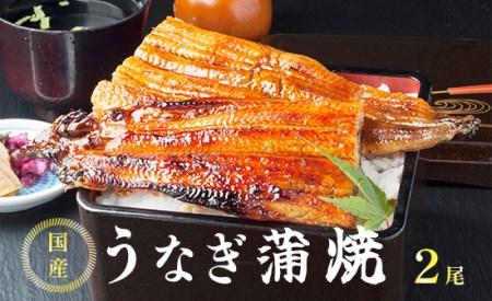 国産うなぎ蒲焼 400g（200g×2尾） 有頭うなぎ蒲焼