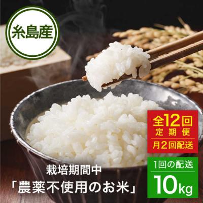 ふるさと納税 糸島市 【全12回(月2回)定期便】栽培期間中農薬不使用のお米 ヒノヒカリ 10kg 糸島市[AHC059]