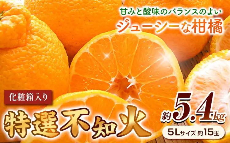 特選 不知火  約5.4kg しらぬい デコポンと同品種