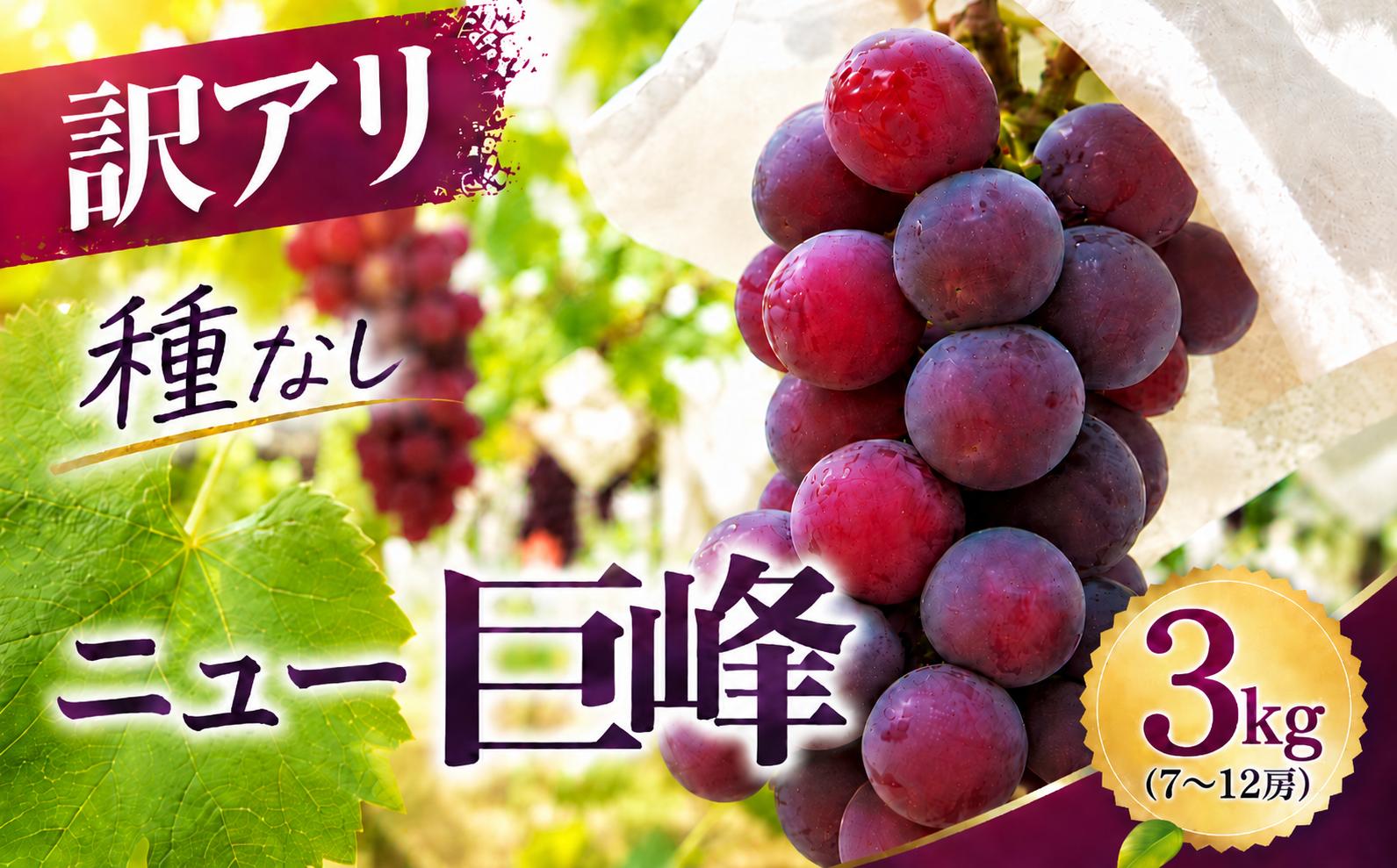 
                  ニュー巨峰 ブドウ ( 訳あり ) 約3kg (7～12房)  | ブドウ ぶどう 葡萄 果物 フルーツ くだもの 産地直送 甘い 家庭用 大分県産 九州産 中津市
                
