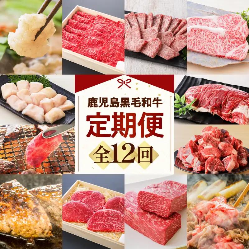 【全12回】鹿児島黒毛和牛定期便 K130-T01 肉 牛肉 冷凍