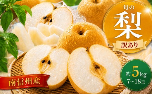 南信州産 訳あり 梨 約5kg 【2026年8月中旬～9月下旬発送】| 果物 フルーツ 果実 和梨 梨 幸水 豊水 南水 あきづき 訳あり わけあり 長野県 飯田市 信州