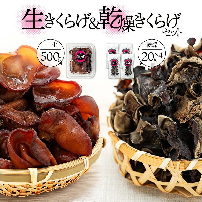 【ふるさと納税】生きくらげ＆乾燥きくらげセット きのこ 木耳 ふるさと 納税 千葉県 長生村