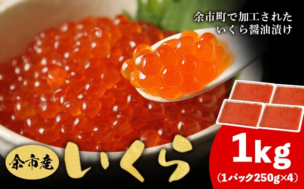 
            余市産 いくら 500g×2箱（250g×4PC） 北海道産 冷凍 鮭いくら 冷凍いくら いくら醤油漬け 化粧箱 贈り物 ギフト 秋鮭 秋鮭の卵 とろける食感 はじける食感 北海道 余市町 
          