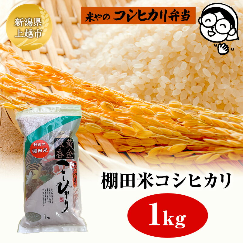 【ふるさと納税】棚田米コシヒカリ 1kg 上越市 精米 コメ 米 ブランド米