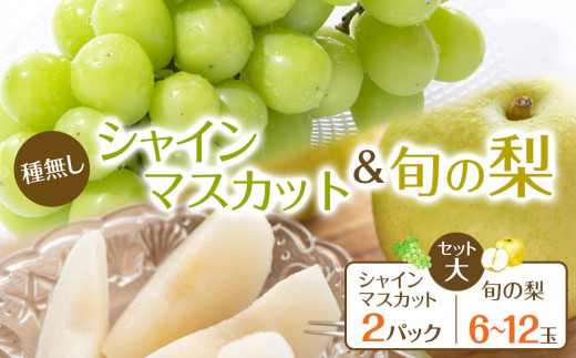 
                  271.【先行予約】シャインマスカット(種無し)と旬の梨セット 大 ※2026年8月下旬～9月下旬頃に順次発送予定【先行予約 シャインマスカット マスカット 葡萄 ぶどう 梨 なし 果物 フルーツ くだもの 鳥取県 北栄町 おすすめ 人気 送料無料】
                