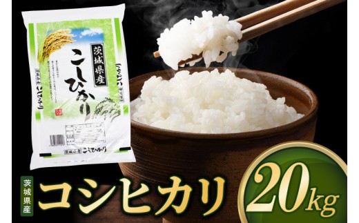 
                  米 コシヒカリ 精米 20kg 先行予約 令和8年産 茨城県産 お米 こめ コメ ごはん 白米 こしひかり 茨城県産米 単一米 単一原料米 安心 安全 送料無料 国産 人気 数量限定 高評価（85-R8i097）
                