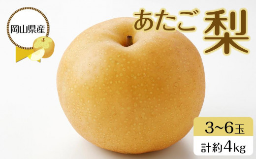 岡山県産 あたご梨 3～6玉 合計約4kg 梨 なし 果物 フルーツ 2026年
