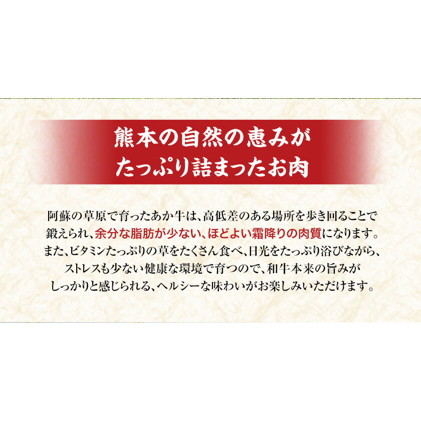 【6ヶ月定期便】熊本県産 あか牛 ハンバーグ 10個 南阿蘇食品 《お申込み月の翌月より発送開始》 定期 計6回お届け 牛肉 肉---sms_fmshbtei_23_76500_mo6num1---