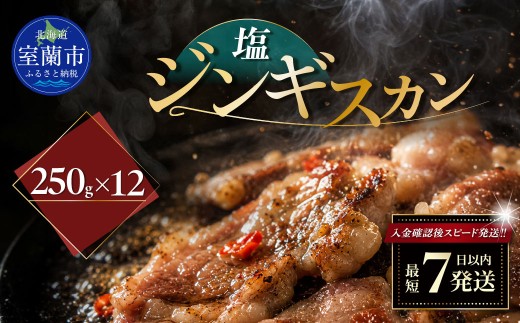 塩ジンギスカン250g×12 【 ふるさと納税 人気 おすすめ ランキング 室蘭 塩ジンギスカン ジンギスカン 塩 ラム 生ラム 羊 肩ロース 肉 焼肉 BBQ 大容量 詰合せ 贈り物 北海道 室蘭市 送料無料 】 MROA237
