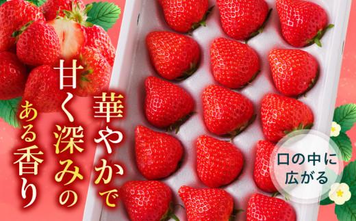 さぬきひめ いちご化粧箱 約400g×2箱【2024年11月中旬～2025年1月下旬配送】