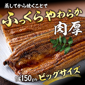 うなぎ 国産 浜松 浜名湖 特上 長蒲焼 2枚入り 配送不可：離島