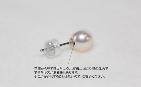 真珠 アクセサリー ピアス パール 6.5mm 以上 7mm 未満 プラチナ 三重県 伊勢志摩 志摩市 アコヤ真珠 ジュエリー / あこや真珠 ピアス