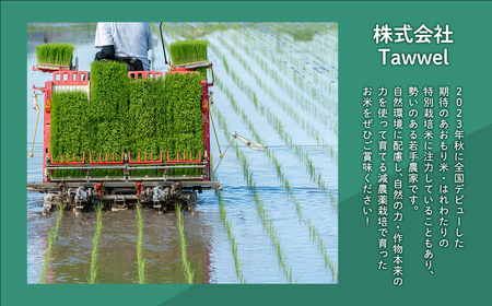 【５月配送】まっしぐら　精米10kg【株式会社tawwel】青森県　平川市産　あおもり米《hi-0061-022-05》