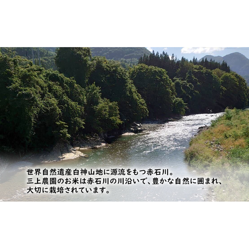 白神源流米 食べ比べセット あさゆき はれわたり 無洗米 各3kg & 白神山地の水 2L × 2本 セット