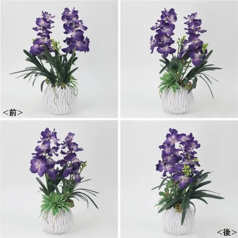 エミリオ・ロバ バンダボタニック バンダ蘭 パープルXL 造花 インテリア ギフト