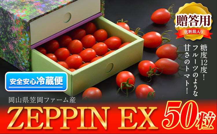 
            C-36a ZEPPIN TOMATO Okayama 50粒 化粧箱入り《120日以内に出荷予定(土日祝除く)》
          