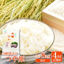 【ふるさと納税】 【精米】4回定期 美都ひかり つや姫 2kg×4回 合計8kg 5つ星お米マイスター推薦 合鴨農法米 米 お米 白米 ブランド米 定期便 美味しまね認証 安心安全 無農薬 無化学肥料 特産品 お取り寄せ