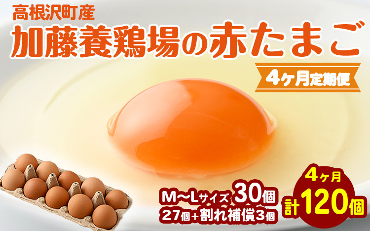 
            【4か月定期便】高根沢町産 たまご 加藤養鶏場の赤たまご M～Lサイズ 30個(27個＋割れ補償3個)×4か月 計120個 ｜ 定期便 卵 玉子 たまご 赤卵 赤たまご 生卵 国産 濃厚 鶏卵 コク 旨み 送料無料
※北海道・沖縄・離島への配送不可
          