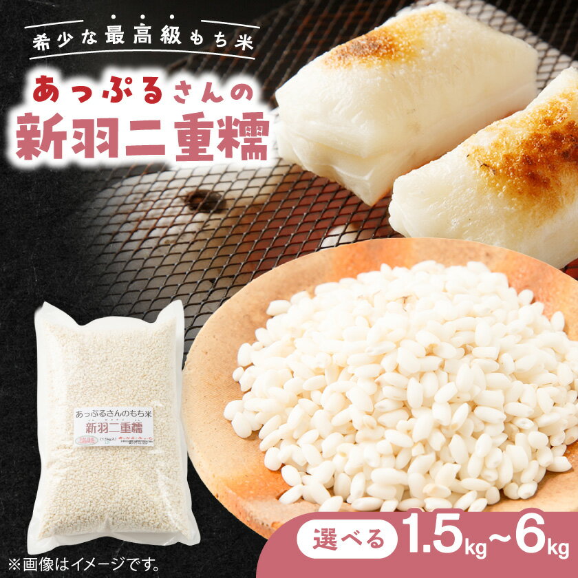 【ふるさと納税】【京都府固有種・希少もち米】 新羽二重糯1.5kg 　冷めてもやわらかい、最高級のもち米　農家直送【1712850】