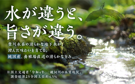 【定期便】蒲焼き2尾 6ヶ月連続お届け うなぎ晴々 新仔 うなぎ