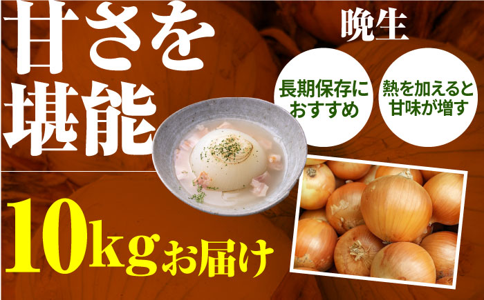 【2回定期便】農家直送 玉ねぎ 定期便 10kg/回 【玉葱農家 陣内ちひろ】玉葱 たまねぎ 新玉ねぎ 新玉葱 晩生 [IAO027]