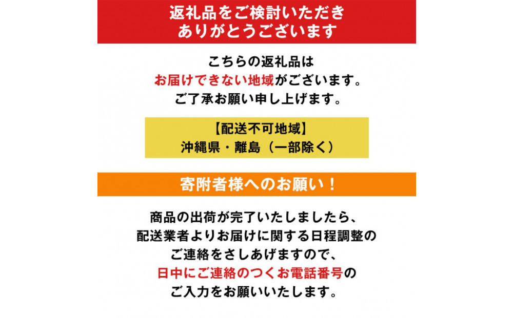 完成品でお届け! 子供用自転車 esse 20インチ 子供 自転車【マカロンブルー】小学生 シンプル 低床フレーム 安全基準BAA適合車 エッセ 大阪 堺市 完全組立 整備済発送  【 自転車 子供自
