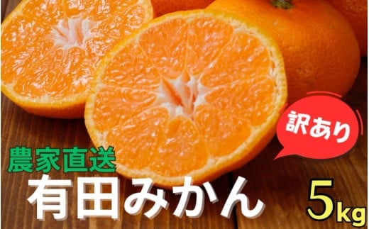 訳あり ご家庭用 農家直送 有田みかん 5kg サイズ混合 光センサー選別 ＜※11月中旬～翌年1月中旬に順次発送予定＞ ※北海道・沖縄・離島への配送不可 / 温州みかん みかん 訳あり わけあり 家庭用【nuk004-noka-c5B】