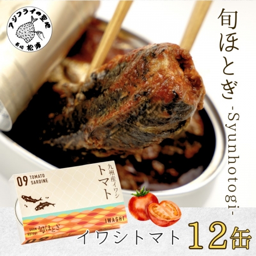 缶詰工場直送 「旬ほとぎ」イワシトマト12缶( ふるさと納税 イワシ缶 トマトペースト 缶詰 工場直送 いわし ご飯のお供 非常食 保存食 送料無料 )【B0-184】