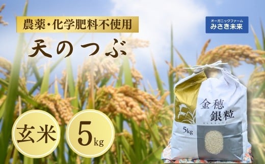 【先行予約】 天のつぶ 玄米5kg 令和7年産 | 無農薬 農薬不使用 化学肥料不使用 お米 米 福島産 福島県産 南相馬 みさき未来