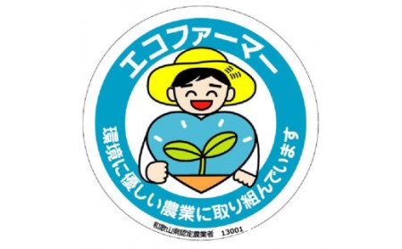 採れたてタネなし柿2Lサイズ32個入7.5kg箱 ※10月中旬～下旬頃に順次発送（日付指定不可）フルーツ 果物 くだもの 食品 人気 おすすめ 送料無料【art020A】