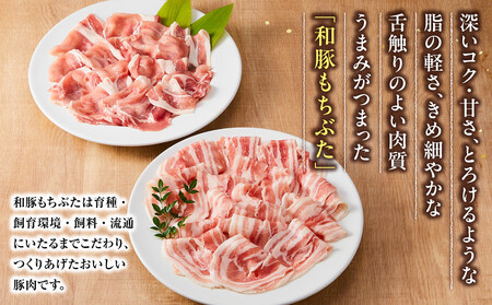 和豚もちぶたしゃぶしゃぶセット 合計800g ｜ しゃぶしゃぶ お肉