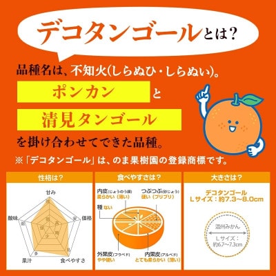 のま果樹園のデコタンゴール(5kg)[K003680K5]【1721910】
