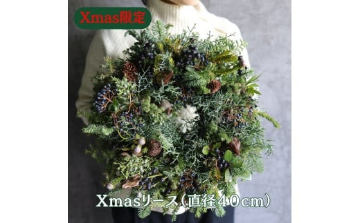 Xmas限定　クリスマスリース Φ40　　花　インテリア　クリスマス　リース　ドライフラワー　おしゃれ　玄関飾り　壁飾り　植物　暮らし　冬　季節限定　きれい　綺麗　季節 ※2025年11月下旬頃より順次発送予定