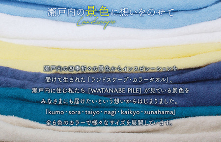 （今治タオルブランド認定）ランドスケープスポーツタオル １枚 オフホワイト 今治タオル スポーツタオル [IA05210OW]